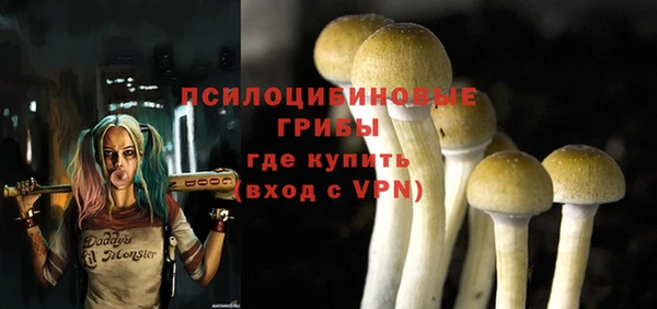 PSILOCYBIN Валуйки