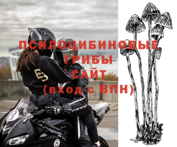 крисы Бутурлиновка