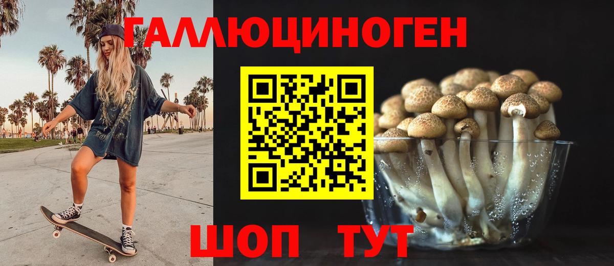 Балахна  Псилоцибиновые грибы ЛСД  Вход с VPN 
