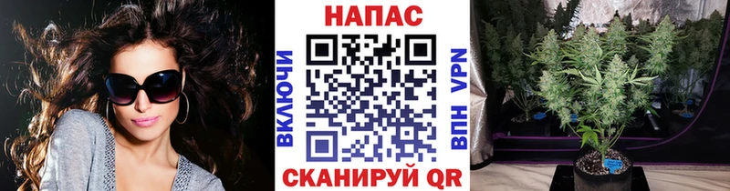 Бошки Шишки планчик  Балахна 